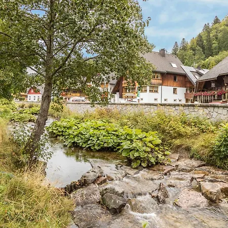 Am Wehrastrand Einzelappartment * Todtmoos