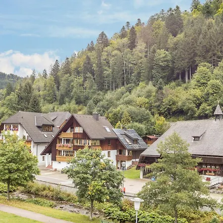 Am Wehrastrand Einzelappartment Todtmoos